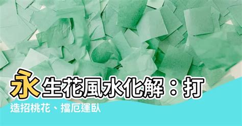 台灣百大名人 永生花風水化解